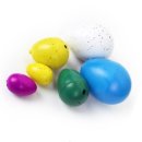 언니네 펫 이미지