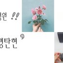 아이미안경탄현