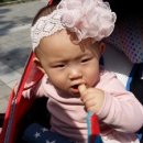 예지매점 - 천안시 서북구 모전1길 181 | 예지매점