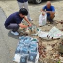 충남마트 이미지