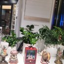 진실이네식당 | 시흥능곡역 맛집 LA양념갈비 좋은 진실식당 후기