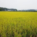 경기도 종자관리소 이미지