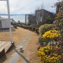 독독펜션 이미지