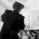 동서대로 이미지