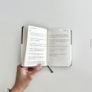 ✧*｡2025 다이어리 위시 ₊·*｡ 기록중독자의 다이어리 플래너