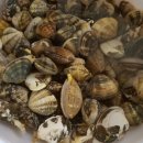 마농 민박 이미지