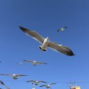 해안길178번길 이미지