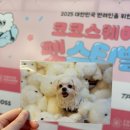 펫스티벌 | 수원 스타필드 애견동반 팝업스토어 코코스퀘어 펫스티벌 후기
