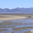 [전라북도 고창군] 고창갯벌오토캠핑&amp;글램핑장