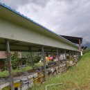 금주농장 이미지