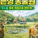 (주)더블유투어 네이버블로그