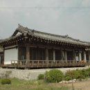 회화나무 도서관 이미지