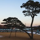 추사고택 월성위 묘앞 이미지