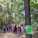 YWCA 어린이집 이미지