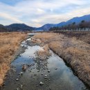 정동1교 이미지