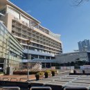 아르피나 이미지