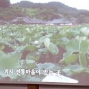 경정농장 네이버블로그
