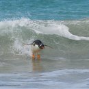 행정사 김봉규 사무소 이미지