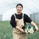 예산군 농기계임대사업장(동부농업지원팀) | 현장벤치마킹으로 당진에서 영농창업의 기회를 보다