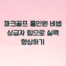 홀인원파크