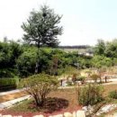 강남화원 이미지