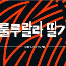 딸기노래주점 - 완주군 원둔산3길 7 | 딸기노래주점