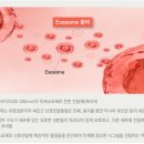 소피스의원 이미지