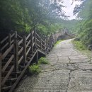 우리나라 3대 악산 치악산(26.7.26.일) 이미지
