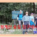 제은농장 Daum카페
