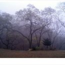 수태사 - 경상북도 군위군 | 수태사