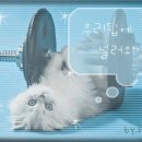 버스정류장 06-102 이미지