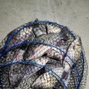 항포낚시터 이미지