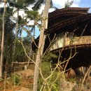 정글 게스트하우스 이미지