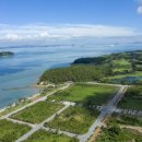 오시아노골프장 이미지