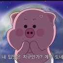 만고강산 - 광산구 | 전남광주 하남동횟집 만고강산 맛집 내돈내산 후기