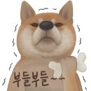 스시쿄다이 이미지