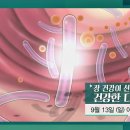 '장 건강이 선물하는 건강한 다이어트' [다큐 플러스] 이미지