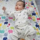 [48~63 days] 둥둥이 50일촬영과 성장일기