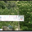 삼도초등학교 이미지