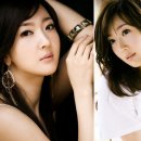 데이라이트 이미지