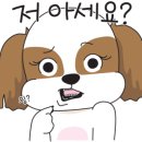 위드동물병원 이미지