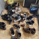 삼봉산사과영농법인