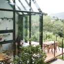 고사리맨션 이미지