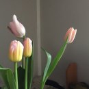 화림농장 이미지