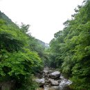 김해시 장유면 장유폭포 삼거리 ~대청계곡 입구(금지기간 7 ~ 8월) | 경남 계곡 추천 국내여행지베스트10 여름 가볼만한곳