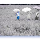 장성공원2 이미지