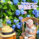 앵지밭골 이미지