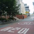 성모당한약방 Daum카페