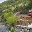 고향한우촌 이미지