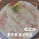 용호동 35번지 공원옆 | 부산 용호동 횟집 자연산 회 물회 맛집 섭자리 동산횟집